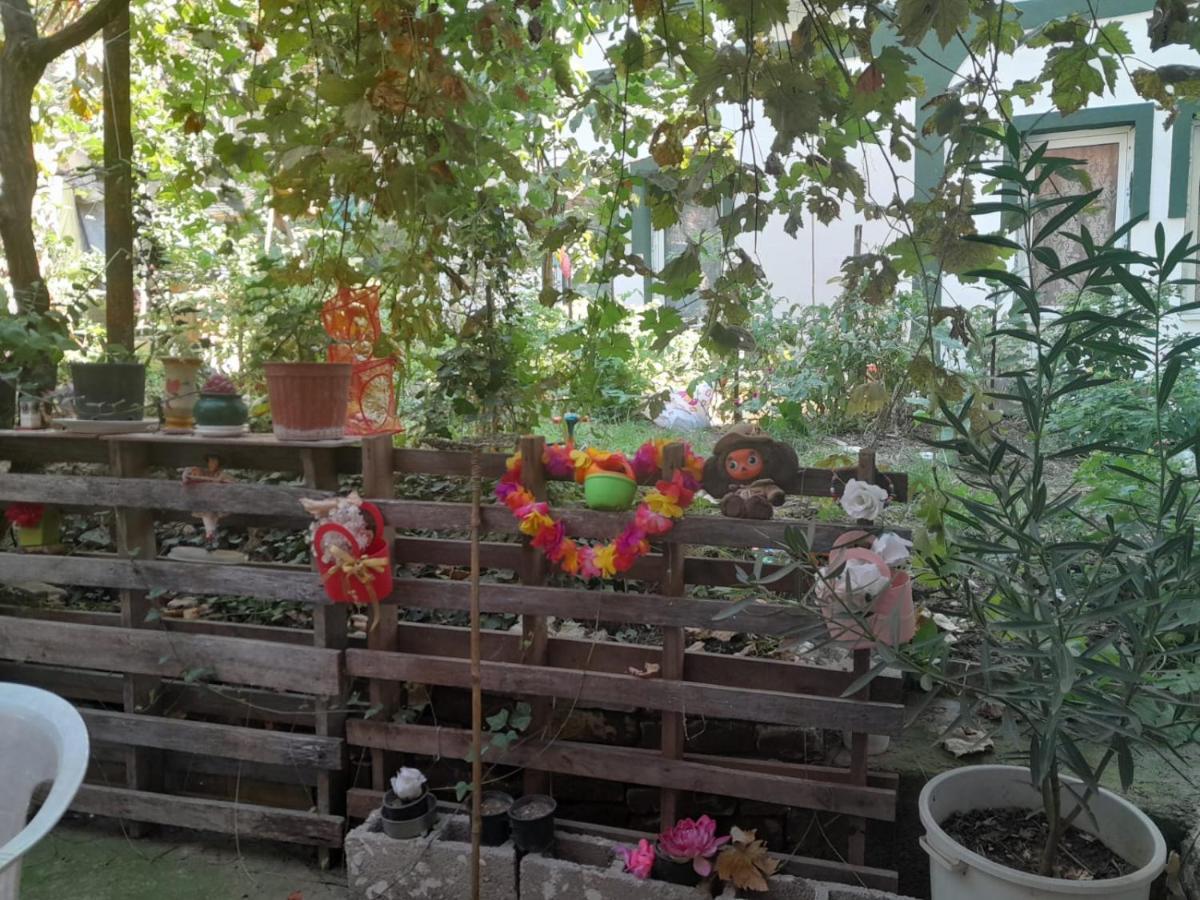 Adem'S Cozy Terrace Retreat Panzió Szkopje Kültér fotó