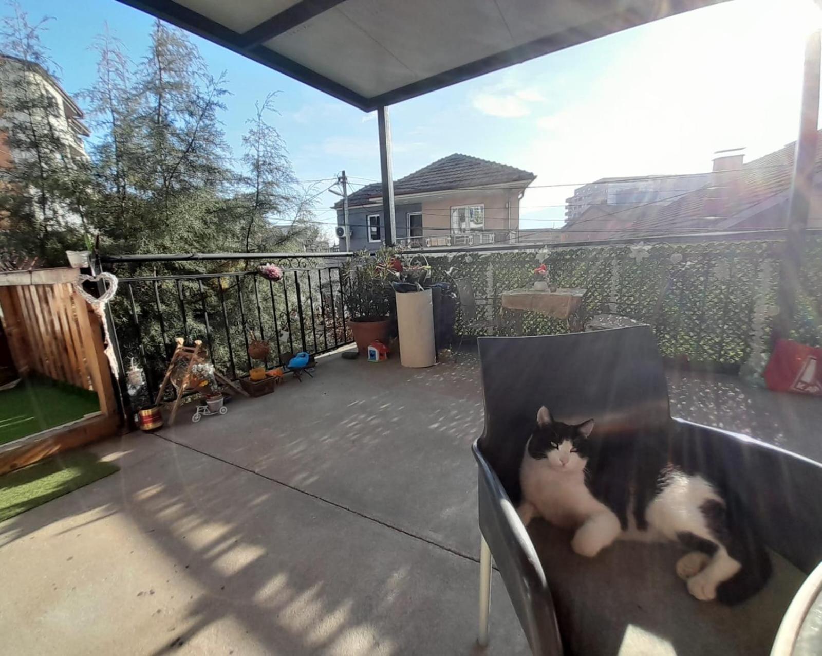 Adem'S Cozy Terrace Retreat Panzió Szkopje Kültér fotó